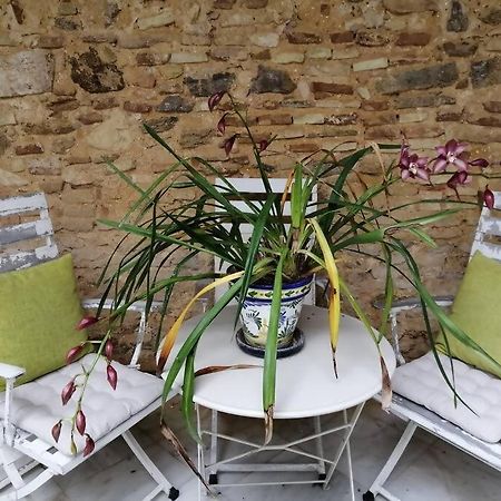 Apartamento El Sosiego Sanlúcar de Barrameda Exteriör bild