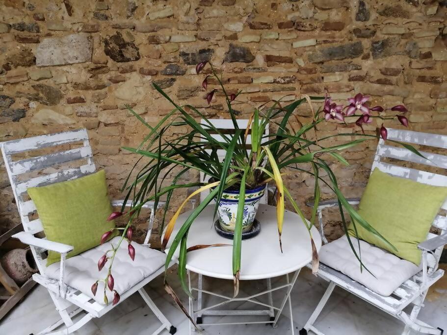 Apartamento El Sosiego Sanlúcar de Barrameda Exteriör bild