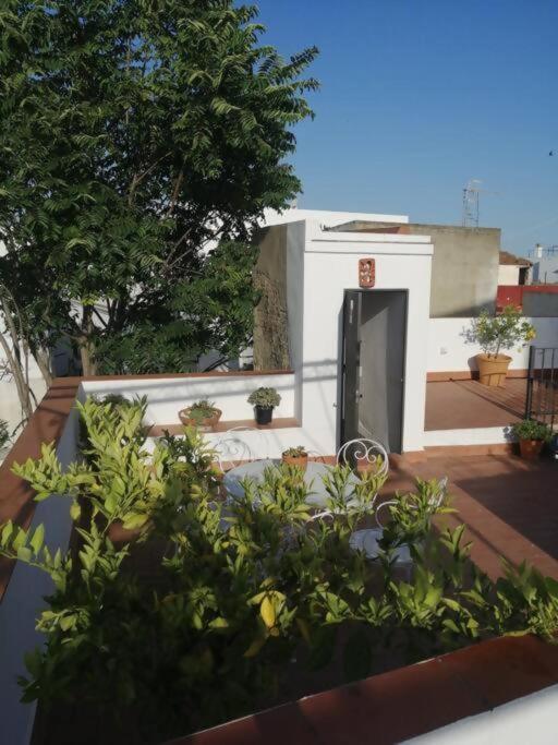 Apartamento El Sosiego Sanlúcar de Barrameda Exteriör bild